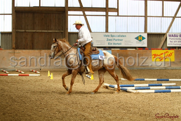 28-ApHC OT_179.jpg